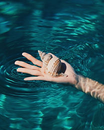 Seashell portrait